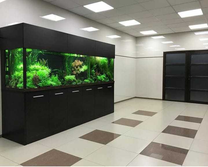 Аквариум изготовим  на заказ  - Изображение #1, Объявление #1705463