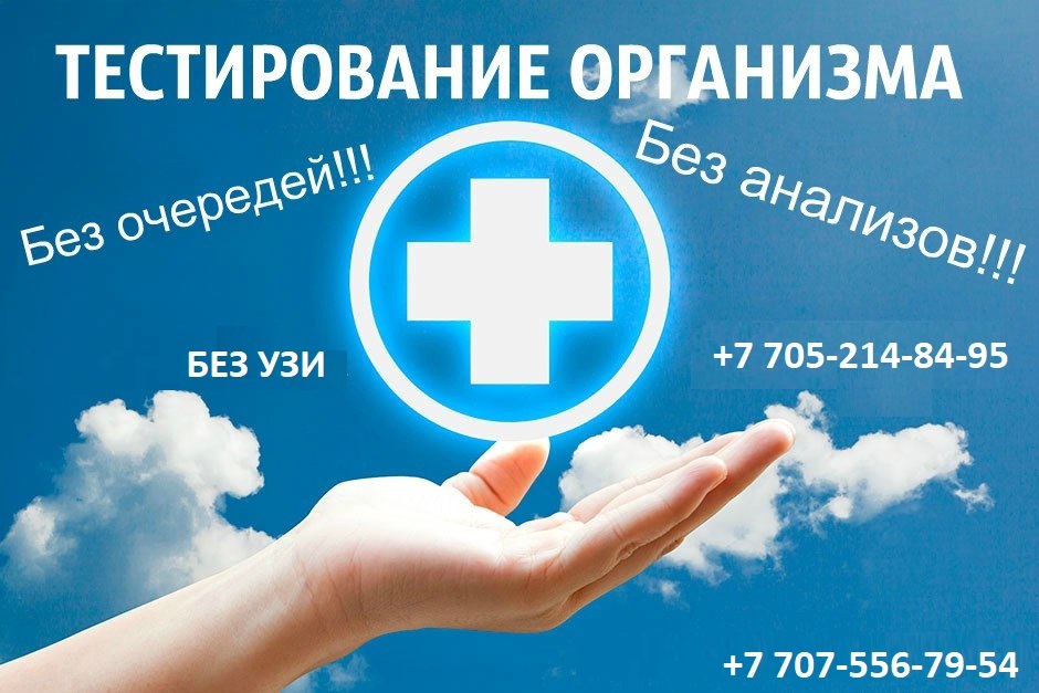 Тестирование всего организма. - Изображение #1, Объявление #1713041