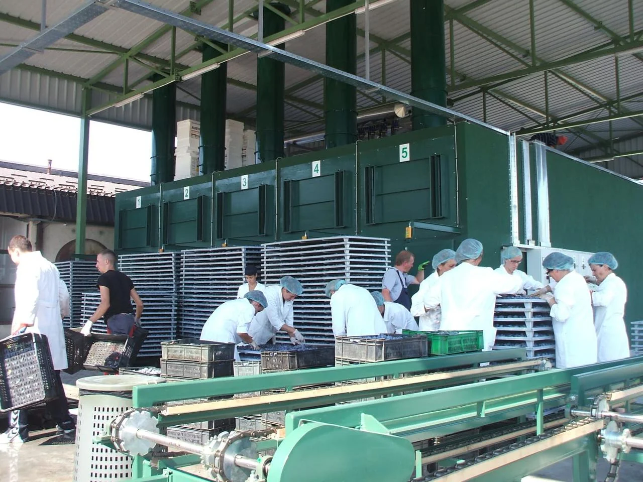 	 Оборудование по производству сухофруктов. - Изображение #1, Объявление #1713362