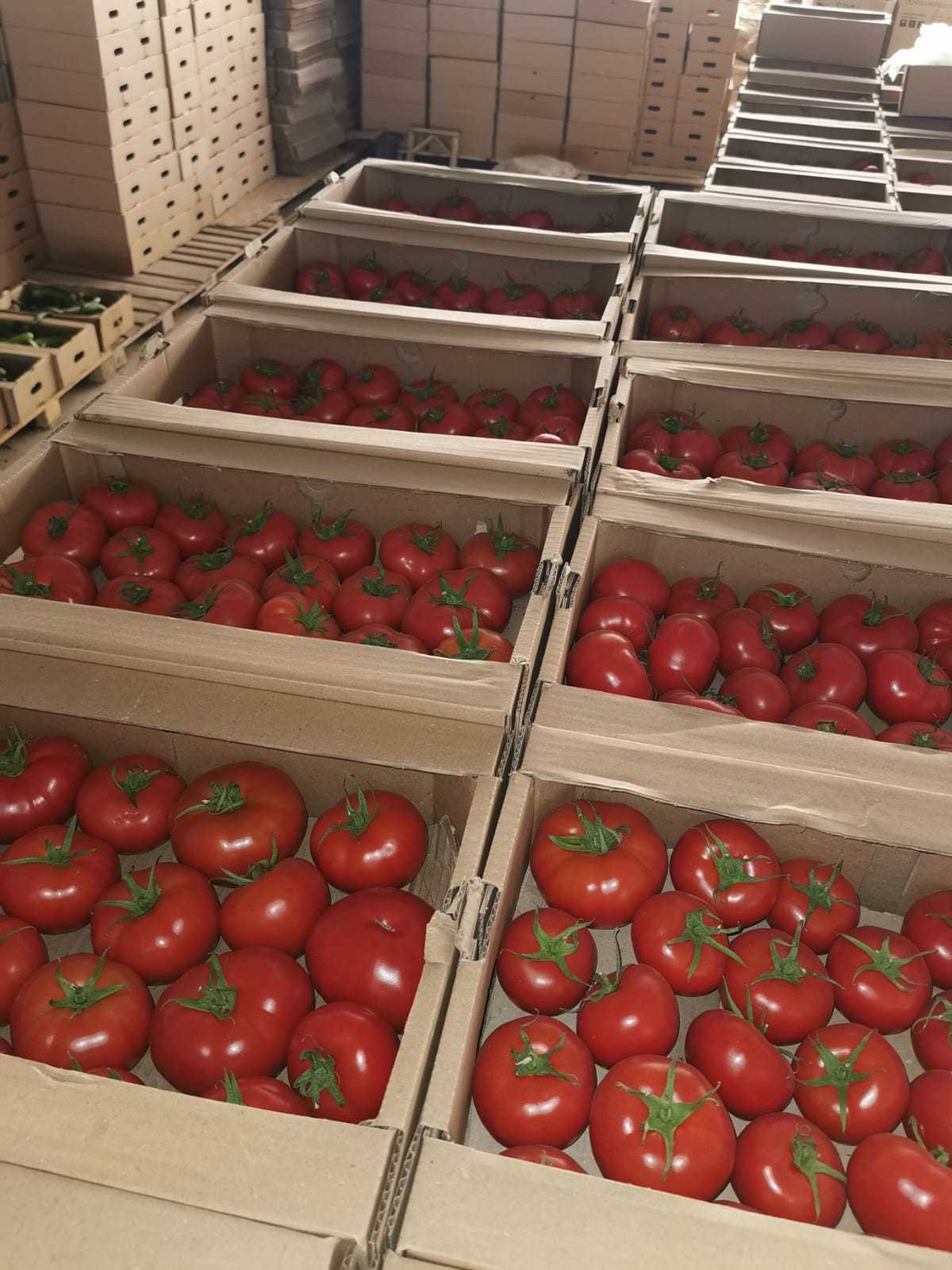 Помидор оптом - Изображение #1, Объявление #1724441