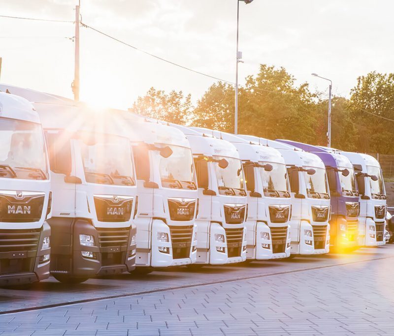 Водитель С+Е в Польскую фирму - Изображение #1, Объявление #1725392