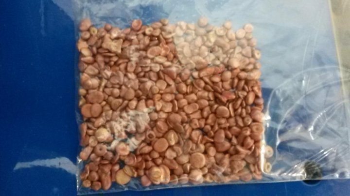 Куплю  Медь гранулированную  - Изображение #1, Объявление #1732080