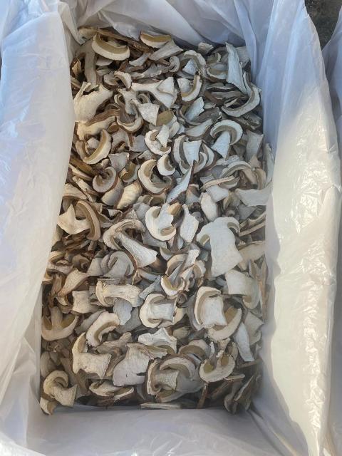 Грибы сушеные с Алтайского края - Изображение #1, Объявление #1732957