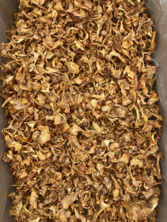 Грибы сушеные с Томской области - Изображение #1, Объявление #1732958