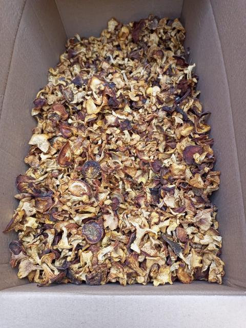 Грибы сушеные Сибири - Изображение #1, Объявление #1732956