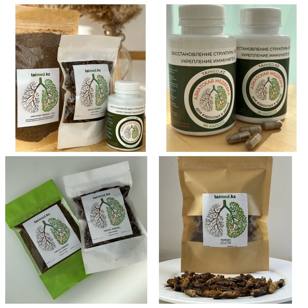 Самая эффективная Азиатская и Тайская медведка (сертификат) - Изображение #1, Объявление #1748631