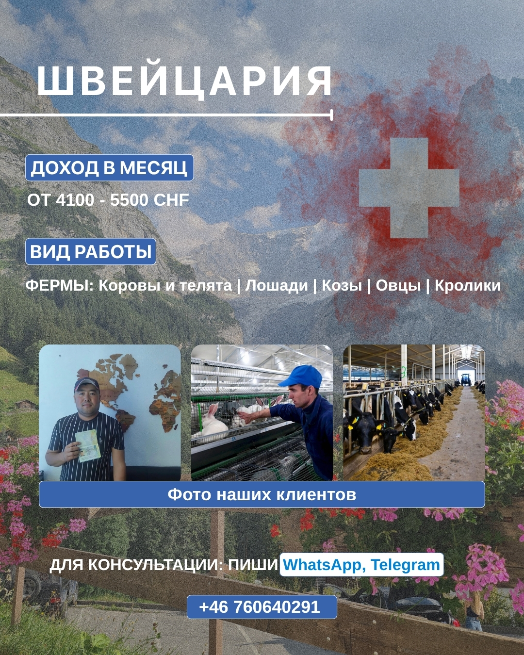 Pабота на фeрме в Швейцарии - Изображение #1, Объявление #1751953