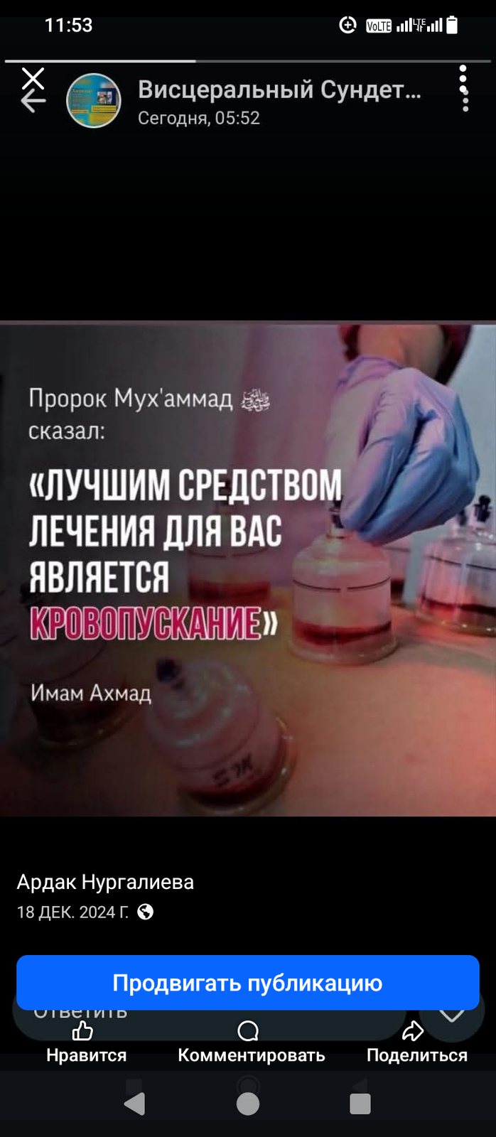 Хижама лучшее чем лечатся люди  - Изображение #1, Объявление #1752354