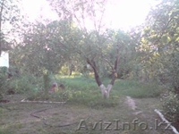 Продам дом - Изображение #3, Объявление #1828