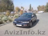 Продам Хонду Аккорд 1995 г.в - Изображение #1, Объявление #1891