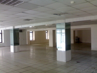 Продам торговую площадь - Изображение #2, Объявление #13469