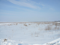 ПРОДАМ ЗЕМЕЛЬНЫЙ УЧАСТОК крестьянское хозяйство 1 ГА у рыбного озера  - Изображение #1, Объявление #12458