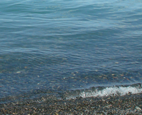 Пансионат Чёрный Камень на Алаколе!!! - Изображение #3, Объявление #26237