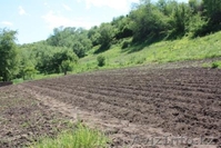 Земельный участок; «Горный Гигант».  - Изображение #2, Объявление #35085