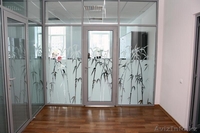 Тонирование (тонировка) окон и перегородок - Изображение #1, Объявление #38154