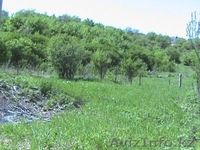 Участок 17 соток Медеуский район - Изображение #1, Объявление #58587