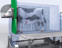 оборудование для мясной промышленности - Изображение #1, Объявление #65720