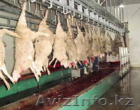 оборудование для мясной промышленности - Изображение #4, Объявление #65720