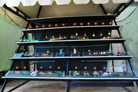 Пейнтбольный тир - Изображение #1, Объявление #84075