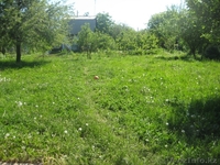 727 2201681 вечером, 7017337763 в любое время - Изображение #1, Объявление #76865