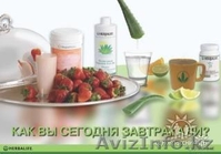 Независимый дистрибьютор Гербалвйф  в Казахстане предлагает - Изображение #1, Объявление #12902