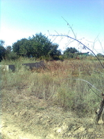 Срочно продам дачный участок 3000$ - Изображение #1, Объявление #94302