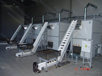 Линия  для  жарки и упаковки семян подсолнечника - Изображение #2, Объявление #101022