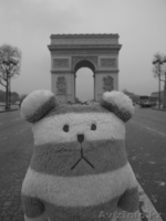 У кого есть желание дифференцировать  свой бизнес! - Изображение #3, Объявление #114983