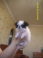 Светлана 221-71-38 8-701-758-68-18 - Изображение #2, Объявление #115231