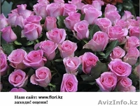 Цветы! Розы! Букеты! - Изображение #2, Объявление #122751