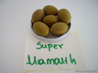 ТОО GoldenOlive - Изображение #4, Объявление #130965