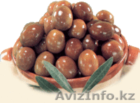 ТОО GoldenOlive - Изображение #2, Объявление #130965