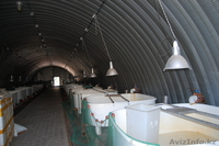 форель живую прямые поставки от производителя - Изображение #2, Объявление #143324