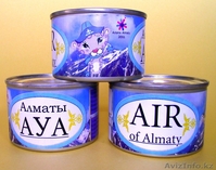 "Воздух Алматы" (особенный сувенир) - Изображение #1, Объявление #154241