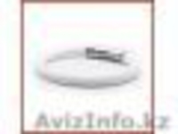 Ampli5 Сила, Баланс, Энергия, Равновесие, Выносливость, Здоровье и многое другое - Изображение #4, Объявление #153085