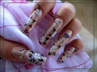  Студия обучения и моделирования нотей  "Куралай" - Изображение #2, Объявление #143852