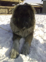 ssssssssssddddd - Изображение #1, Объявление #173555