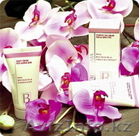 <H1>корпорация “Мир красоты”, ЗЛАТА ПАЛЬМА</H1> - Изображение #2, Объявление #126575