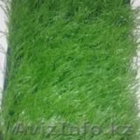 ТОО A-Sport Kazakhstan - Изображение #1, Объявление #167345