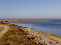 21 ГЕКТАР У МОРЯ ! ПРОДАМ КРЫМ  пгт ЧЕРНОМОРСКОЕ. - Изображение #4, Объявление #163255