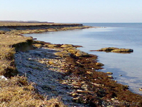 21 ГЕКТАР У МОРЯ ! ПРОДАМ КРЫМ  пгт ЧЕРНОМОРСКОЕ. - Изображение #5, Объявление #163255