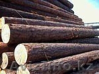 Пиломатериал, брус, кругляк, шпалы, брус переводной, опоры ЛЭП в Алмат - Изображение #2, Объявление #181096