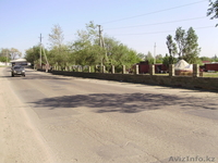 Летнее кафе на озере, в городе Алматы - Изображение #2, Объявление #168825