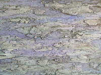 Все виды отделочных работ. - Изображение #6, Объявление #210522