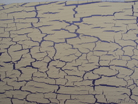 Все виды отделочных работ. - Изображение #9, Объявление #210522