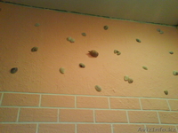 Ремонт квартир,частных домов,офисов - Изображение #1, Объявление #205542