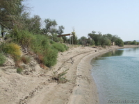 Земля на реке Или - Изображение #3, Объявление #210876