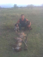 87776955500 Евгений,87778153677 Николай - Изображение #2, Объявление #194462