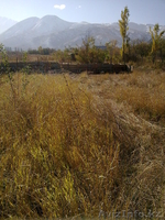 Уникальный участок по низкой цене - Изображение #3, Объявление #190542