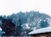 Участок площадью 30 сот - Изображение #9, Объявление #213322